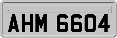 AHM6604