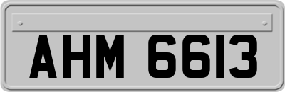 AHM6613