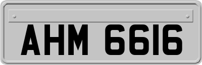 AHM6616