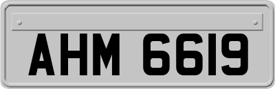 AHM6619