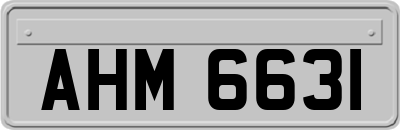 AHM6631