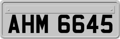 AHM6645