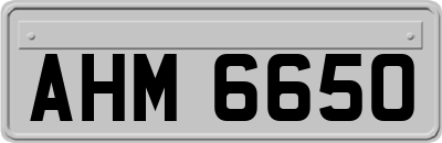 AHM6650