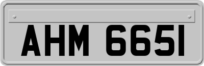 AHM6651