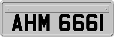 AHM6661
