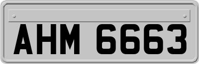 AHM6663