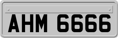 AHM6666