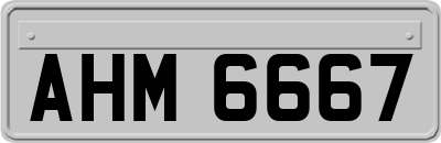 AHM6667