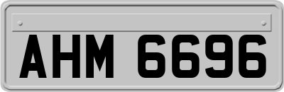 AHM6696