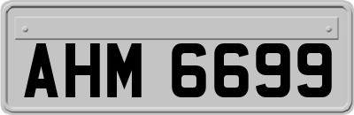 AHM6699