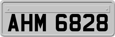 AHM6828