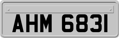AHM6831