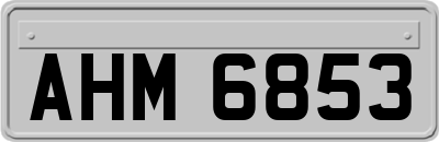 AHM6853