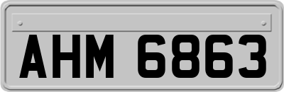 AHM6863