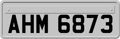AHM6873