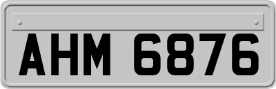 AHM6876