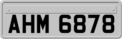 AHM6878