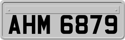 AHM6879
