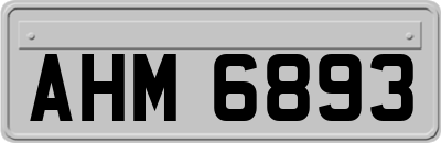 AHM6893