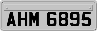 AHM6895