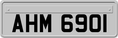 AHM6901