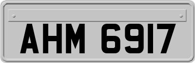 AHM6917