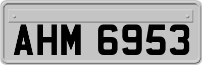 AHM6953