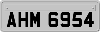 AHM6954