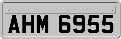 AHM6955