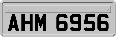 AHM6956