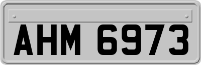 AHM6973