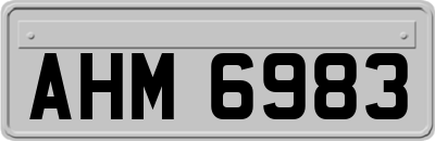 AHM6983