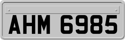 AHM6985