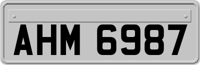 AHM6987