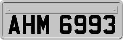 AHM6993
