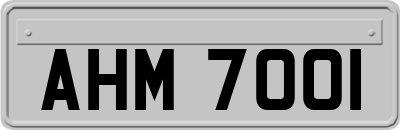 AHM7001