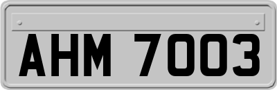 AHM7003
