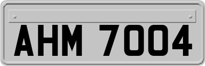 AHM7004