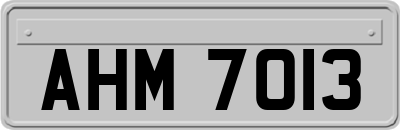 AHM7013