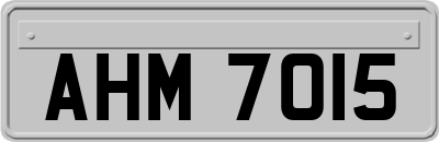 AHM7015