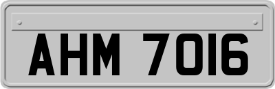 AHM7016