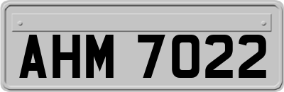 AHM7022