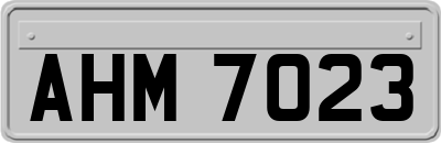 AHM7023