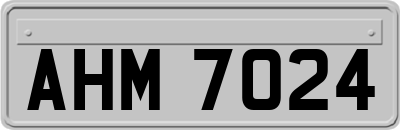 AHM7024