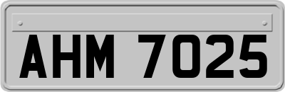 AHM7025
