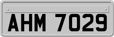 AHM7029