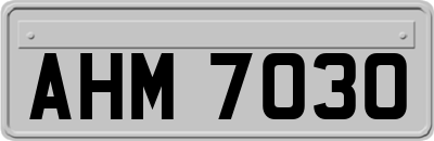 AHM7030