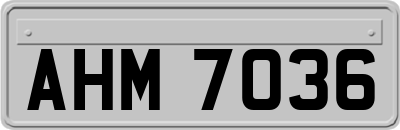 AHM7036