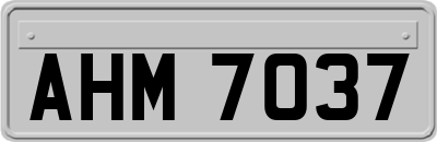 AHM7037