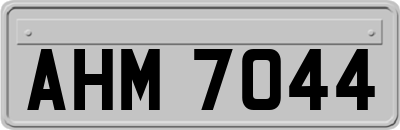 AHM7044